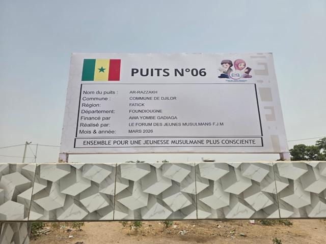 Puits FJM de Djilor